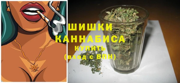 СК Белокуриха