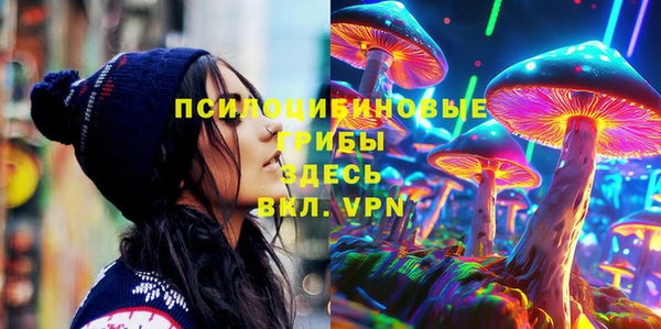 СК Белокуриха